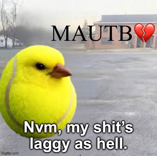 Mods Asleep, Upvote Tennis Bird | Nvm, my shit’s laggy as hell. | image tagged in mods asleep upvote tennis bird | made w/ Imgflip meme maker
