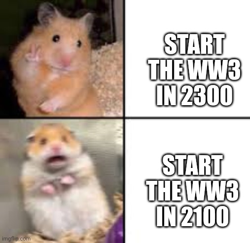 scared hamster | START THE WW3 IN 2300; START THE WW3 IN 2100 | image tagged in scared hamster | made w/ Imgflip meme maker