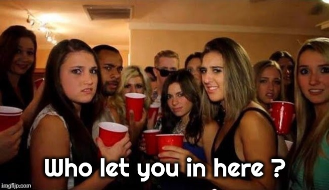 That's disgusting | Who let you in here ? | image tagged in that's disgusting | made w/ Imgflip meme maker