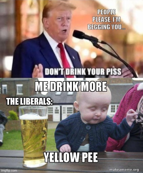 THE LIBERALS: | image tagged in liberal logic | made w/ Imgflip meme maker