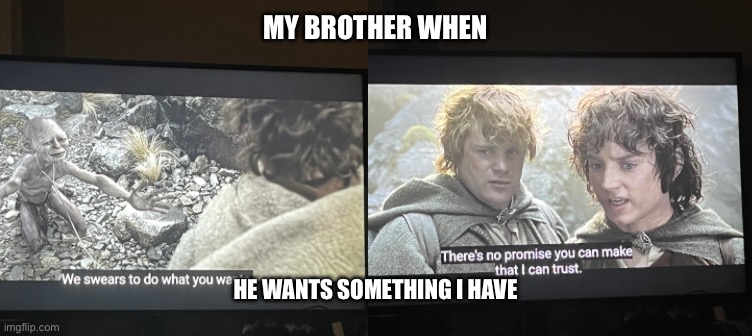 Sibling Rivalry | MY BROTHER WHEN; HE WANTS SOMETHING I HAVE | image tagged in lotr | made w/ Imgflip meme maker
