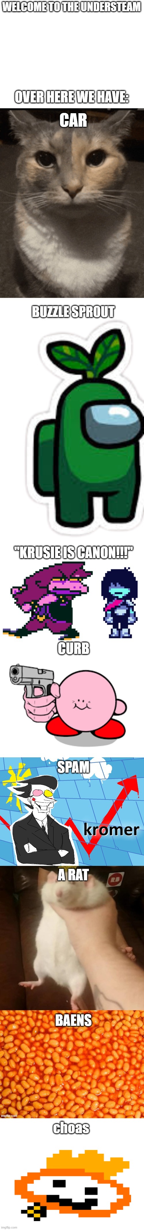 choas | made w/ Imgflip meme maker