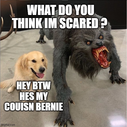 Bruh he's my couisn | WHAT DO YOU THINK IM SCARED ? HEY BTW HES MY COUISN BERNIE | image tagged in dog vs werewolf | made w/ Imgflip meme maker