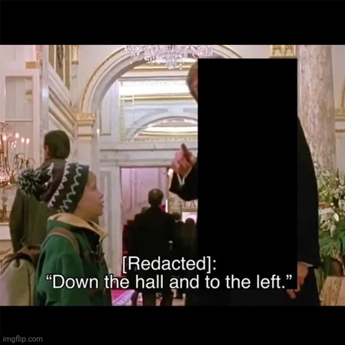 Redacted | image tagged in memes,redacted,trump unfit unqualified dangerous,impeach trump,lock him up,maga | made w/ Imgflip meme maker