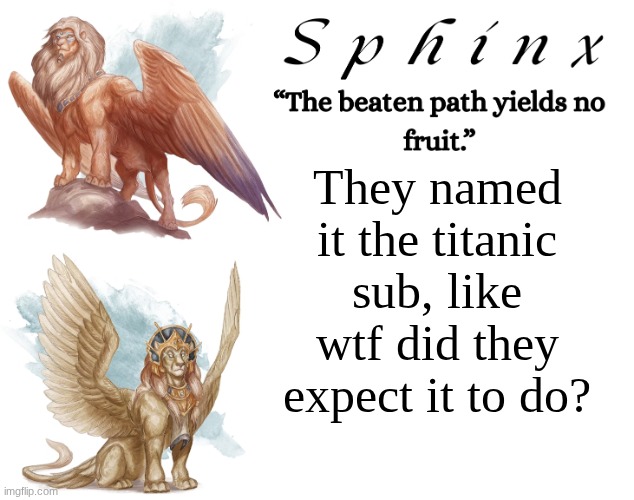Spinx (aka erocitnaM) | They named it the titanic sub, like wtf did they expect it to do? | image tagged in spinx aka erocitnam | made w/ Imgflip meme maker