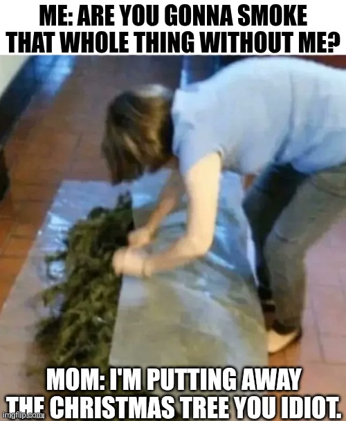 Me Are You Gonna Smoke That Whole Thing Without Me? | ME: ARE YOU GONNA SMOKE THAT WHOLE THING WITHOUT ME? MOM: I'M PUTTING AWAY THE CHRISTMAS TREE YOU IDIOT. | image tagged in chrisjoines1 | made w/ Imgflip meme maker