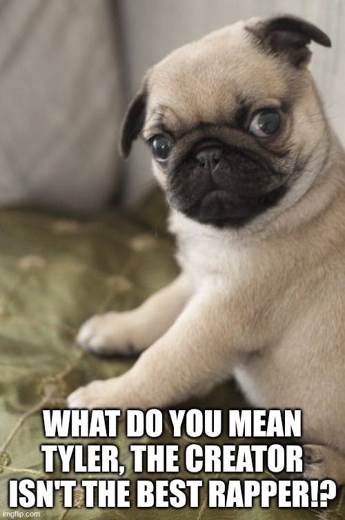 Angry Pug | WHAT DO YOU MEAN TYLER, THE CREATOR ISN'T THE BEST RAPPER!? | image tagged in angry pug | made w/ Imgflip meme maker