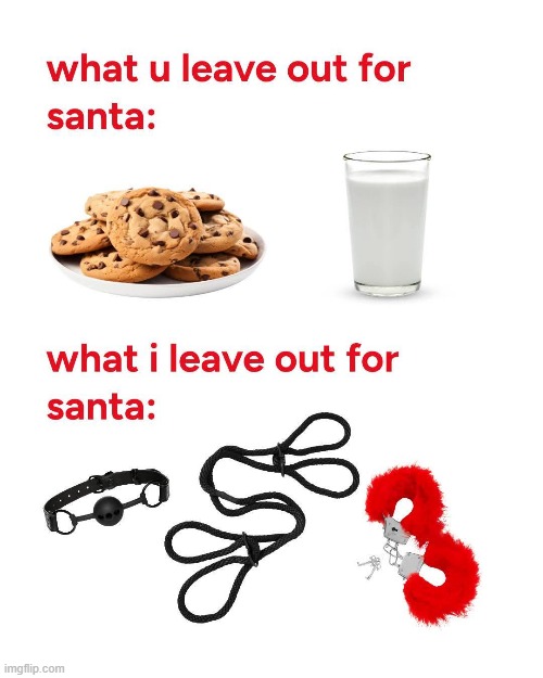 Leave Out for Santa | image tagged in adult humor | made w/ Imgflip meme maker