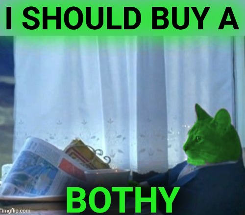 I Should Buy a Boat RayCat | I SHOULD BUY A; BOTHY | image tagged in i should buy a boat raycat,bothy | made w/ Imgflip meme maker