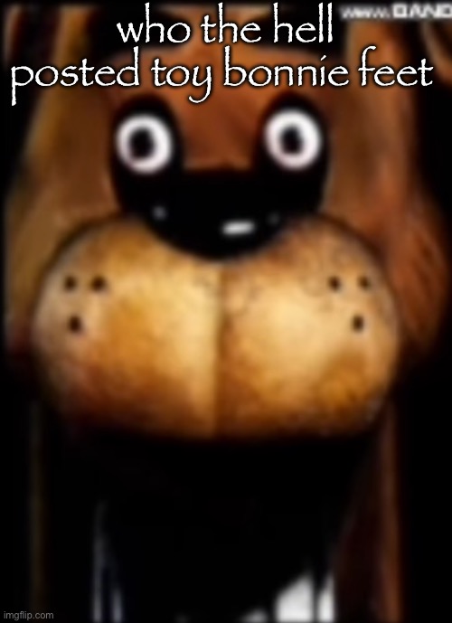 freddy fazbear horrified | who the hell posted toy bonnie feet | image tagged in freddy fazbear horrified | made w/ Imgflip meme maker