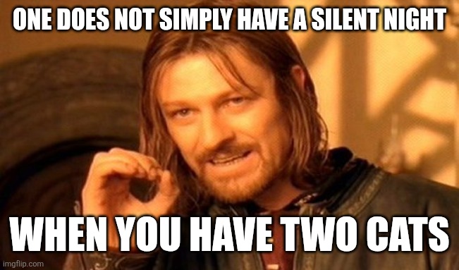One Does Not Simply Meme | ONE DOES NOT SIMPLY HAVE A SILENT NIGHT; WHEN YOU HAVE TWO CATS | image tagged in memes,one does not simply | made w/ Imgflip meme maker