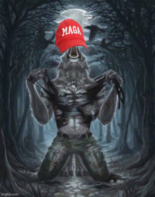 alpha wolf | image tagged in alpha wolf | made w/ Imgflip meme maker