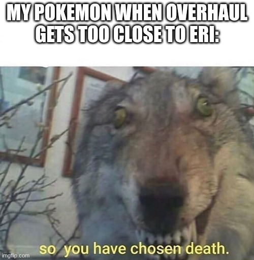 so you have chosen death | MY POKEMON WHEN OVERHAUL GETS TOO CLOSE TO ERI: | image tagged in so you have chosen death,mha | made w/ Imgflip meme maker