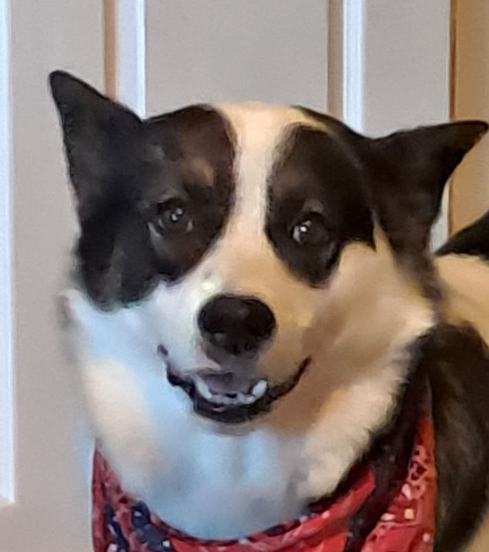 rocky Blank Meme Template