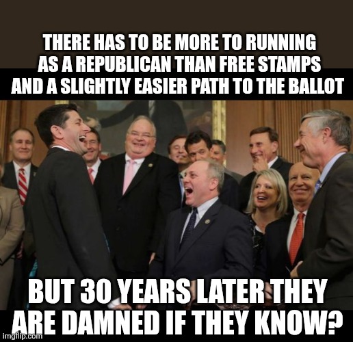 The Gop could care less but why try | THERE HAS TO BE MORE TO RUNNING AS A REPUBLICAN THAN FREE STAMPS AND A SLIGHTLY EASIER PATH TO THE BALLOT; BUT 30 YEARS LATER THEY ARE DAMNED IF THEY KNOW? | image tagged in republicans senators laughing | made w/ Imgflip meme maker
