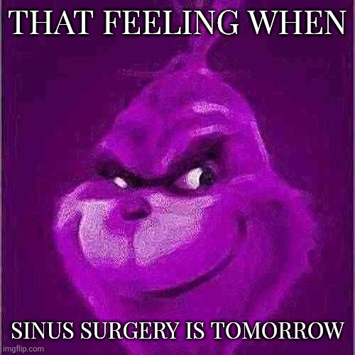 Sob i brought this back | THAT FEELING WHEN; SINUS SURGERY IS TOMORROW | image tagged in purple grinch | made w/ Imgflip meme maker