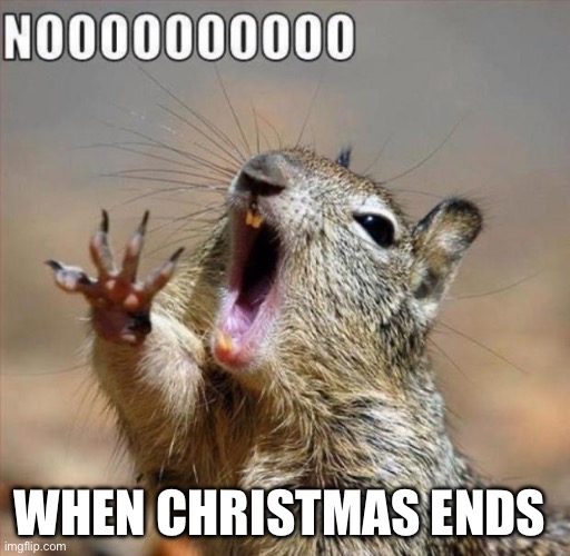 Noooo | WHEN CHRISTMAS ENDS | image tagged in noooooooooooooooooooooooo | made w/ Imgflip meme maker