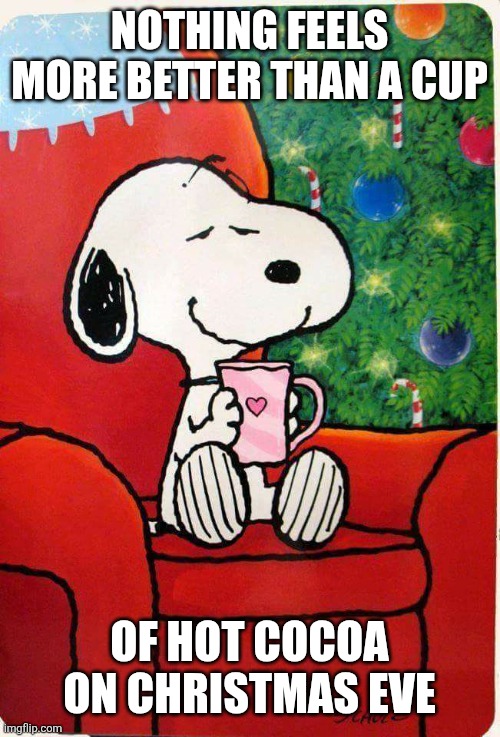 Very relaxing | NOTHING FEELS MORE BETTER THAN A CUP; OF HOT COCOA ON CHRISTMAS EVE | image tagged in snoopy christmas,memes,funny,hot cocoa | made w/ Imgflip meme maker