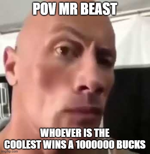 POV MR BEAST WHOEVER IS THE COOLEST WINS A 1000000 BUCKS | image tagged in the rock eyebrows | made w/ Imgflip meme maker