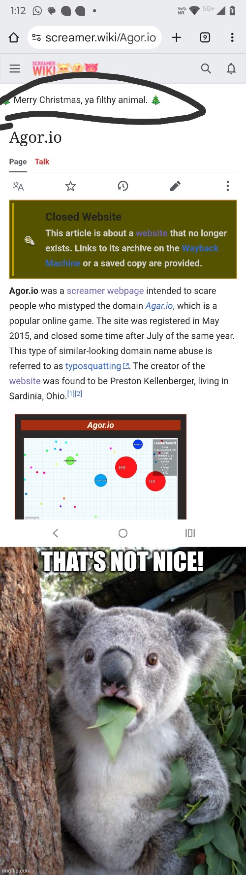 Rudeeee!! | THAT'S NOT NICE! | image tagged in memes,surprised koala,rude | made w/ Imgflip meme maker