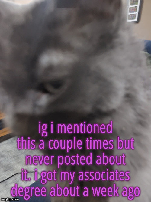 only took me 6 years <\3 | ig i mentioned this a couple times but never posted about it. i got my associates degree about a week ago | image tagged in 32's cat | made w/ Imgflip meme maker