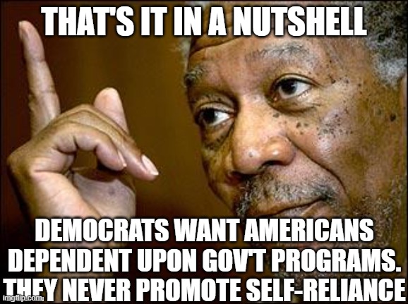 This Morgan Freeman | THAT'S IT IN A NUTSHELL DEMOCRATS WANT AMERICANS DEPENDENT UPON GOV'T PROGRAMS. THEY NEVER PROMOTE SELF-RELIANCE | image tagged in this morgan freeman | made w/ Imgflip meme maker
