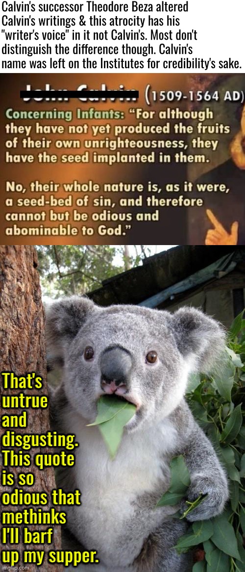 Odious Beza Quote | Calvin's successor Theodore Beza altered Calvin's writings & this atrocity has his "writer's voice" in it not Calvin's. Most don't distinguish the difference though. Calvin's name was left on the Institutes for credibility's sake. That's untrue and disgusting. This quote is so odious that methinks I'll barf up my supper. | image tagged in surprised koala,calvinism,calvinist memes,theodore beza calvin's successor,psychopath,anti calvinism | made w/ Imgflip meme maker