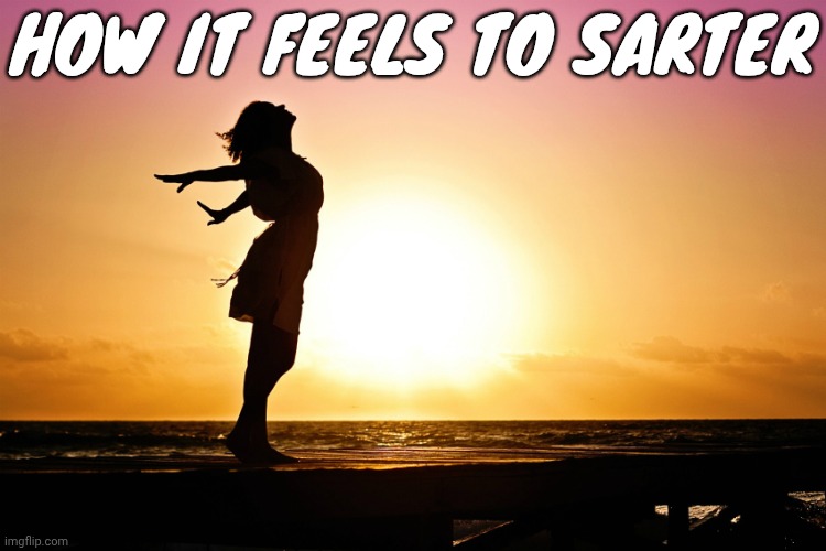 Breakup relief | HOW IT FEELS TO SARTER | image tagged in breakup relief | made w/ Imgflip meme maker