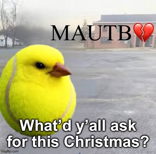 Mods Asleep, Upvote Tennis Bird | What’d y’all ask for this Christmas? | image tagged in mods asleep upvote tennis bird | made w/ Imgflip meme maker