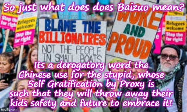 So just what does Baizuo actually mean? | So just what does does Baizuo mean? Yarra Man; Its a derogatory word the Chinese use for the stupid, whose Self Gratification by Proxy is such that they will throw away their kids safety and future to embrace it! | image tagged in self gratification by proxy,virtue signalling woke,european islamic union,labor labour greens teals democrats,uik,china | made w/ Imgflip meme maker