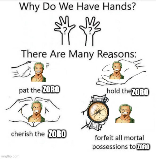Zoro | ZORO; ZORO; ZORO; ZORO | image tagged in why do we have hands,zoro,one piece,anime | made w/ Imgflip meme maker