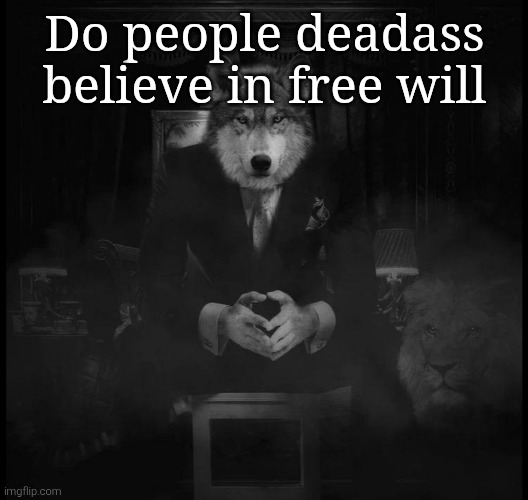 Wolf on a chair | Do people deadass believe in free will | image tagged in wolf on a chair | made w/ Imgflip meme maker