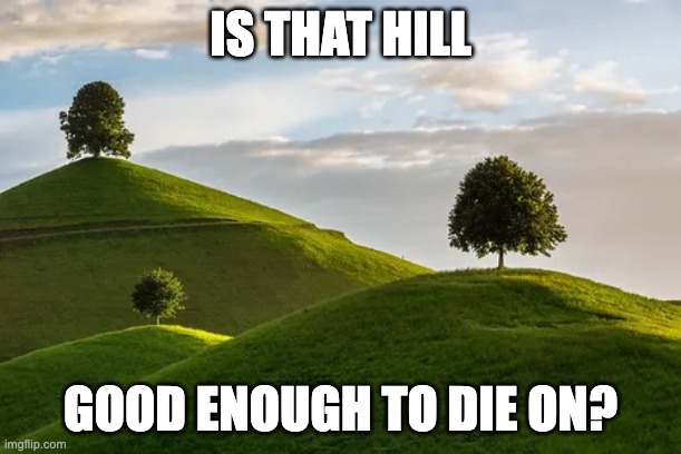 Hill to die on | IS THAT HILL; GOOD ENOUGH TO DIE ON? | image tagged in hill to die on | made w/ Imgflip meme maker