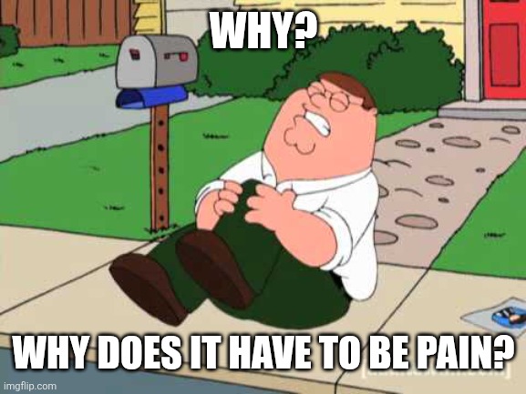 WHY? WHY DOES IT HAVE TO BE PAIN? | image tagged in peter hurting his knee | made w/ Imgflip meme maker