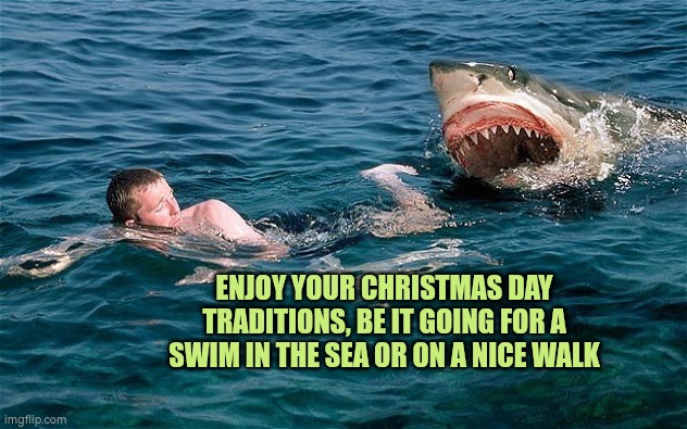 Enjoy your Christmas Day traditions, be it going for a swim in the sea or a nice walk | ENJOY YOUR CHRISTMAS DAY TRADITIONS, BE IT GOING FOR A SWIM IN THE SEA OR ON A NICE WALK | image tagged in christmas,swim,autism,tradition,walk,relaxing | made w/ Imgflip meme maker