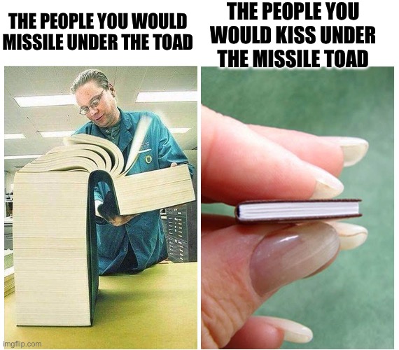 Big book Small book | THE PEOPLE YOU WOULD KISS UNDER THE MISSILE TOAD THE PEOPLE YOU WOULD MISSILE UNDER THE TOAD | image tagged in big book small book | made w/ Imgflip meme maker