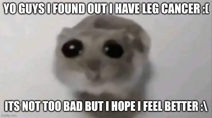 :( | YO GUYS I FOUND OUT I HAVE LEG CANCER :(; ITS NOT TOO BAD BUT I HOPE I FEEL BETTER :\ | image tagged in sad hamster,sas | made w/ Imgflip meme maker