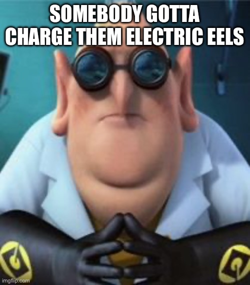 Dr Nefario | SOMEBODY GOTTA CHARGE THEM ELECTRIC EELS | image tagged in dr nefario | made w/ Imgflip meme maker