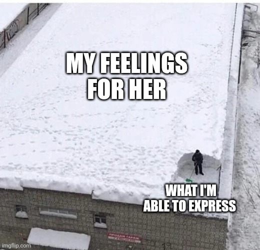 Guys can relate | MY FEELINGS FOR HER; WHAT I'M ABLE TO EXPRESS | image tagged in snow shoveling | made w/ Imgflip meme maker