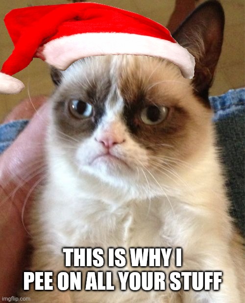 Grumpy Cat Meme | THIS IS WHY I PEE ON ALL YOUR STUFF | image tagged in memes,grumpy cat | made w/ Imgflip meme maker