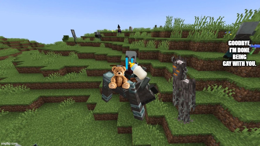 Illagers | GOODBYE, I'M DONE BEING GAY WITH YOU. | image tagged in illagers | made w/ Imgflip meme maker