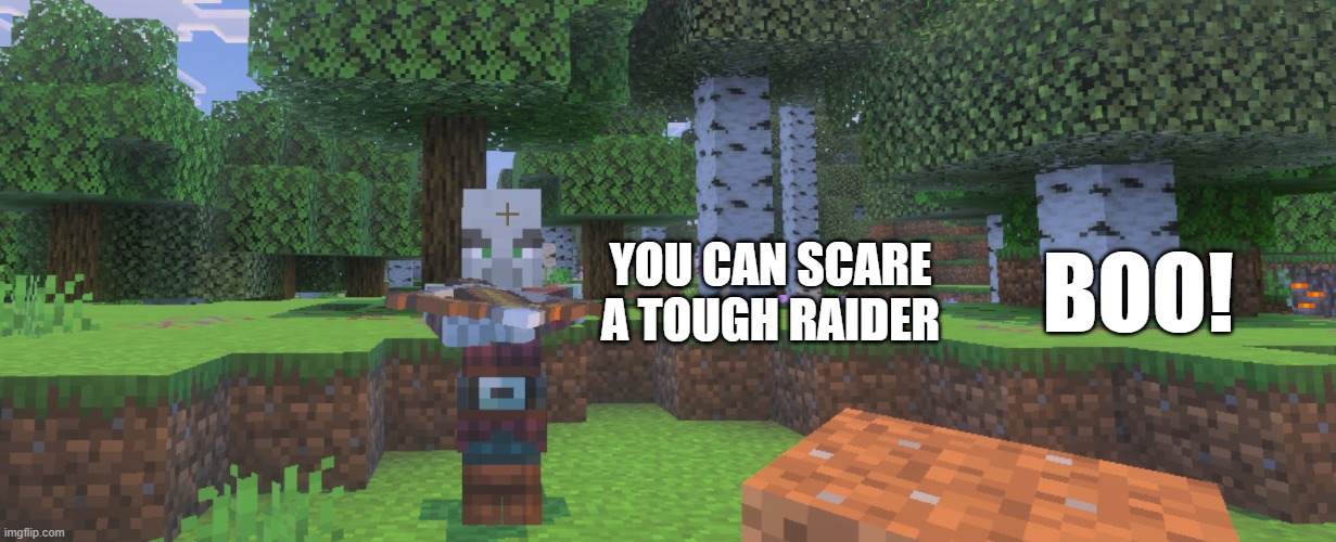 Pillager | YOU CAN SCARE A TOUGH RAIDER; BOO! | image tagged in pillager | made w/ Imgflip meme maker