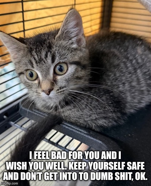 Shellshock | I FEEL BAD FOR YOU AND I WISH YOU WELL. KEEP YOURSELF SAFE AND DON’T GET INTO TO DUMB SHIT, OK. | image tagged in shellshock | made w/ Imgflip meme maker