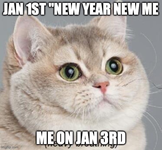 new year resolution backfire | JAN 1ST "NEW YEAR NEW ME; ME ON JAN 3RD | image tagged in memes,heavy breathing cat | made w/ Imgflip meme maker