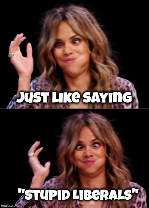 Lovely Halle Berry | Just like saying "Stupid Liberals" | image tagged in lovely halle berry | made w/ Imgflip meme maker
