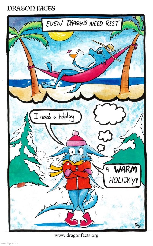 image tagged in dragon,facts,dragons,rest,holiday,cold | made w/ Imgflip meme maker