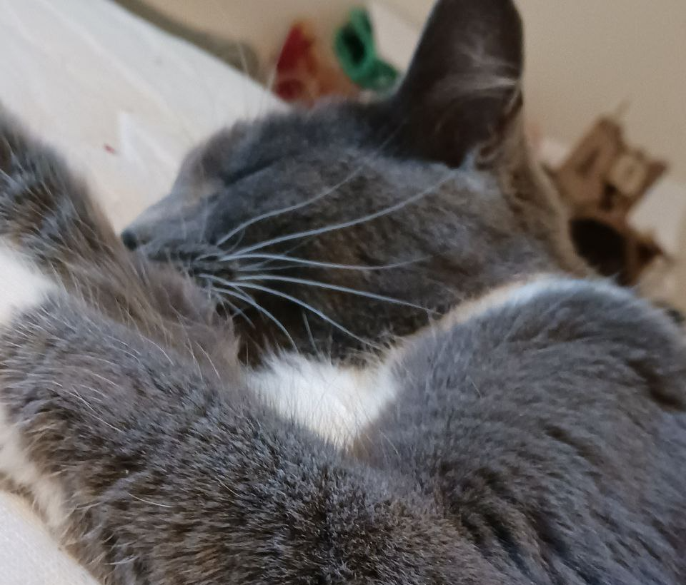 zelda Blank Meme Template