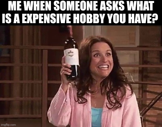 Me When Someone Asks What Is A Expensive Hobby You Have | ME WHEN SOMEONE ASKS WHAT IS A EXPENSIVE HOBBY YOU HAVE? | image tagged in chrisjoines1 | made w/ Imgflip meme maker
