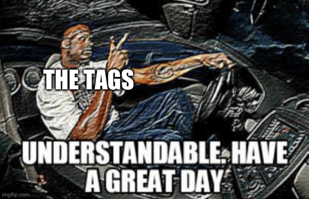 Understandable have a great day | THE TAGS | image tagged in understandable have a great day | made w/ Imgflip meme maker