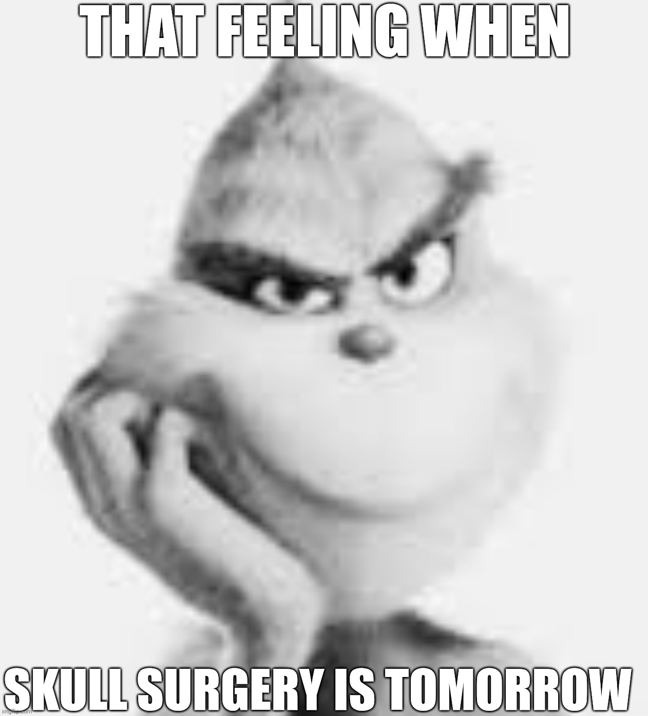 white grinch | THAT FEELING WHEN; SKULL SURGERY IS TOMORROW | image tagged in white grinch | made w/ Imgflip meme maker